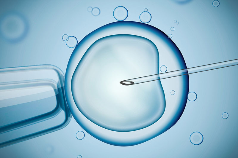 Fertility and IVF - Epworth HealthCare