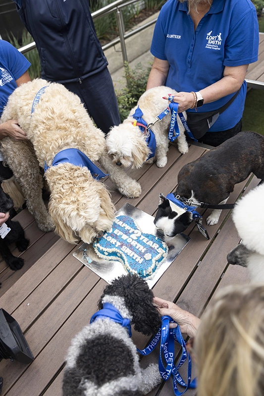 Therapy dogs - Epworth HealthCare