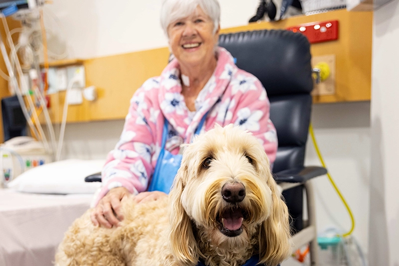 Therapy dogs - Epworth HealthCare