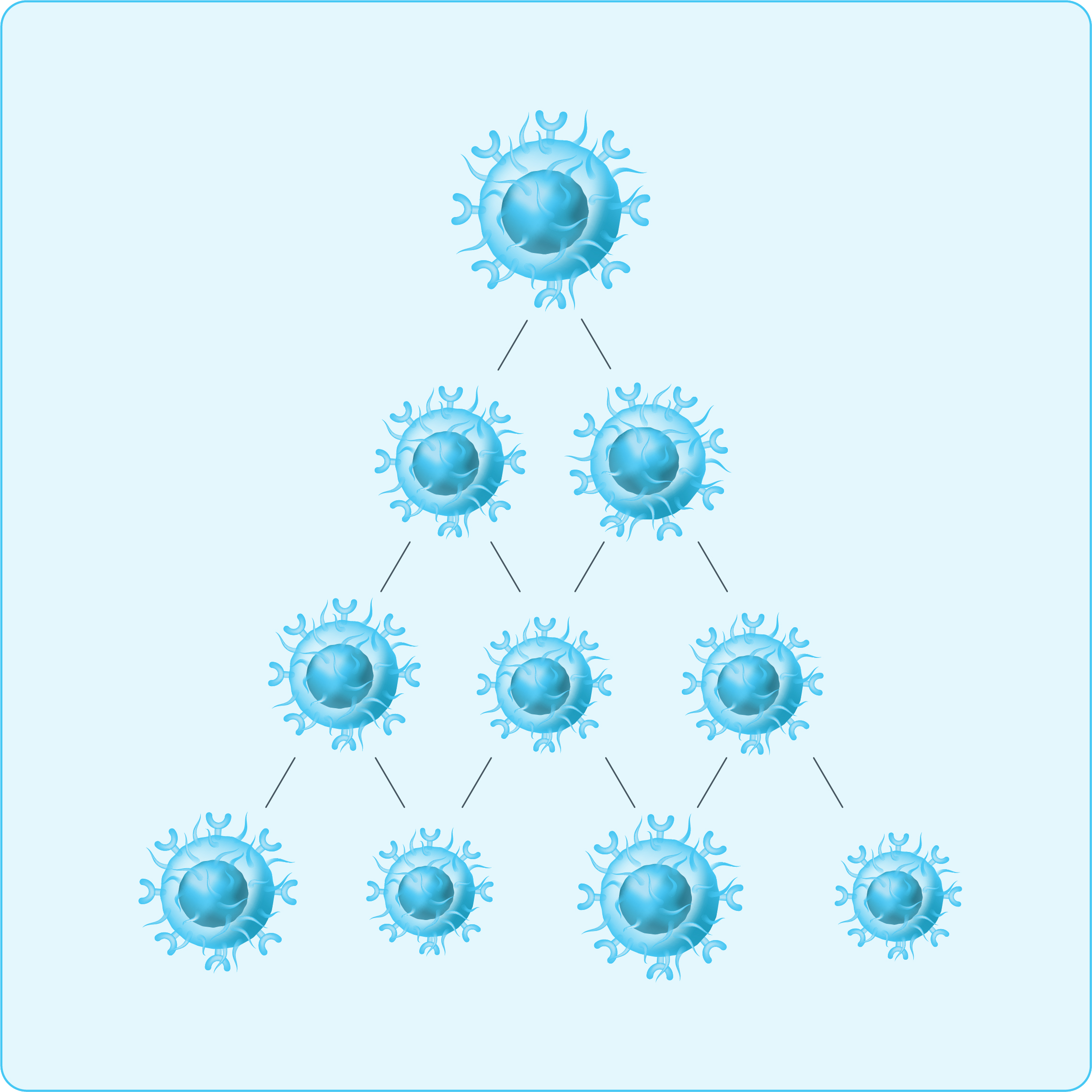 CAR T cells diagram